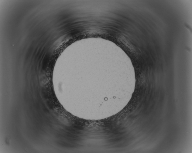 X0000093230824200710031456