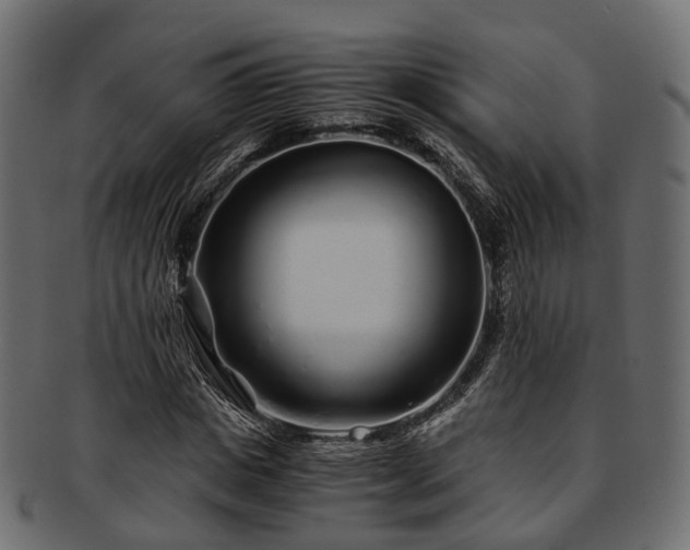 X0000093230825200710031456