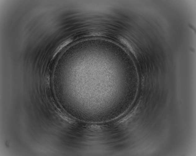 X0000093230827200710031456