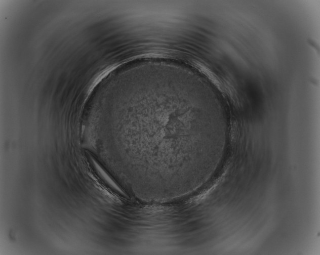 X0000093230829200710031456