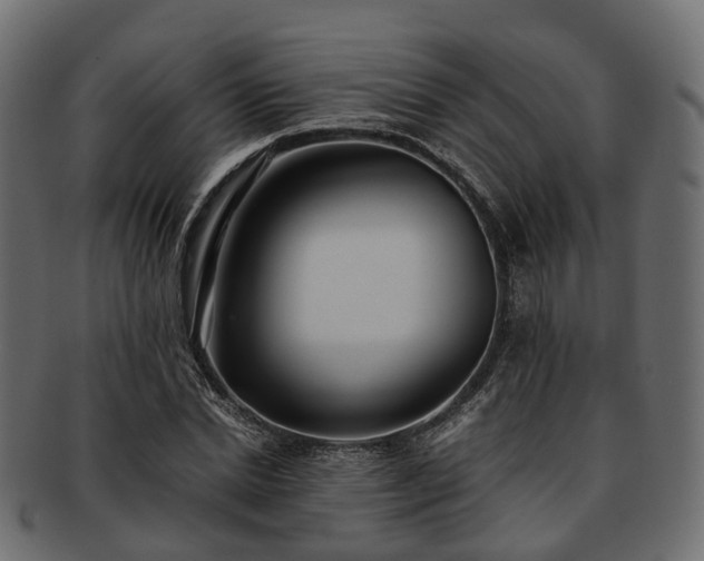 X0000093230830200710031456