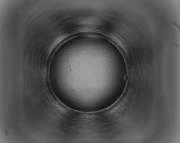 X0000093230831200710031456