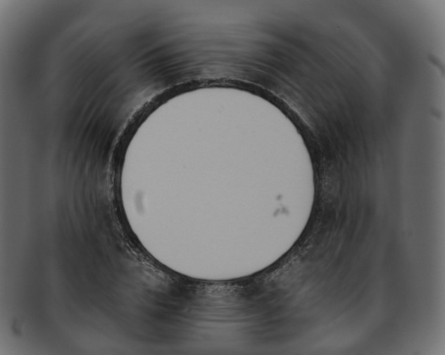 X0000093230832200710031456