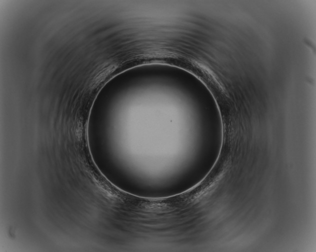 X0000093230833200710031456