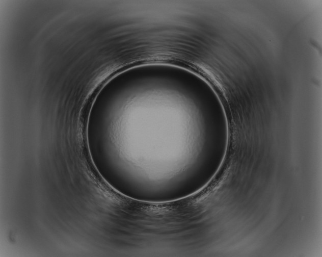 X0000093230835200710031457