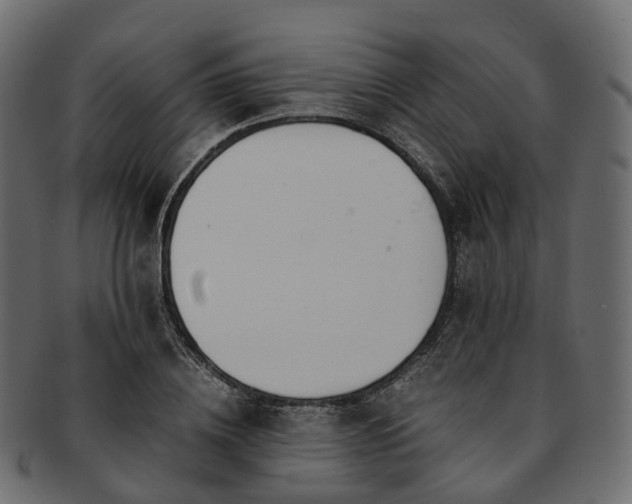 X0000093230836200710031457