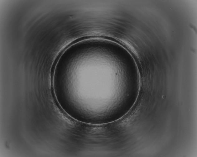 X0000093230839200710031457