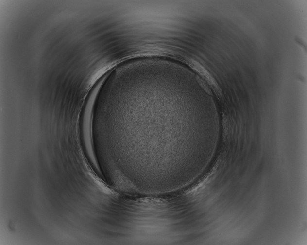 X0000093230842200710031457