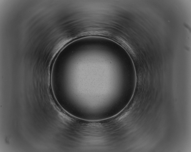 X0000093230844200710031457