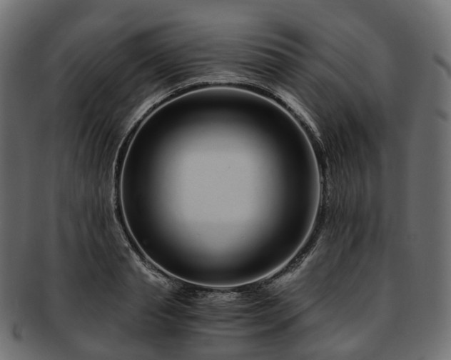 X0000093230845200710031457