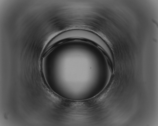 X0000093230846200710031457