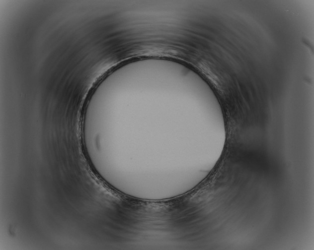 X0000093230848200710031457