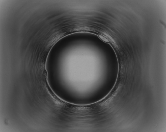 X0000093230849200710031457