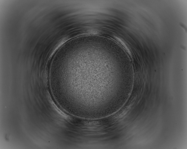 X0000093230851200710031457