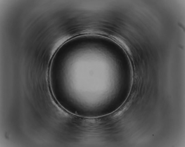 X0000093230855200710031457