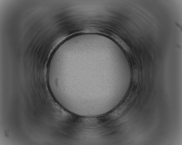 X0000093230856200710031457