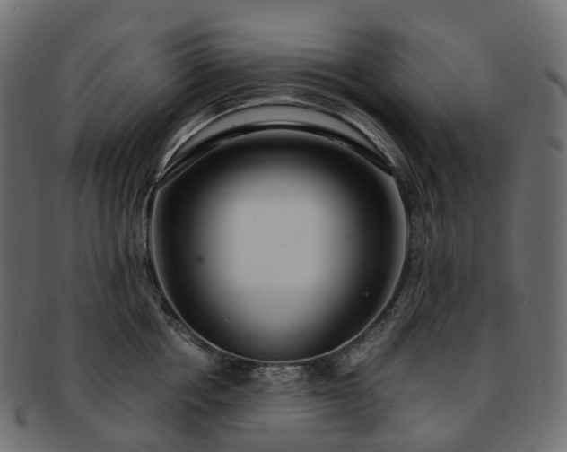 X0000093230858200710031457