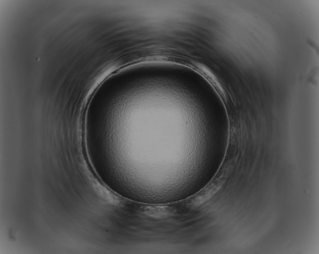 X0000093230859200710031457