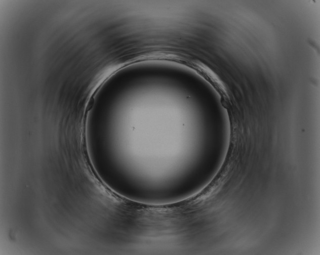 X0000093230860200710031457