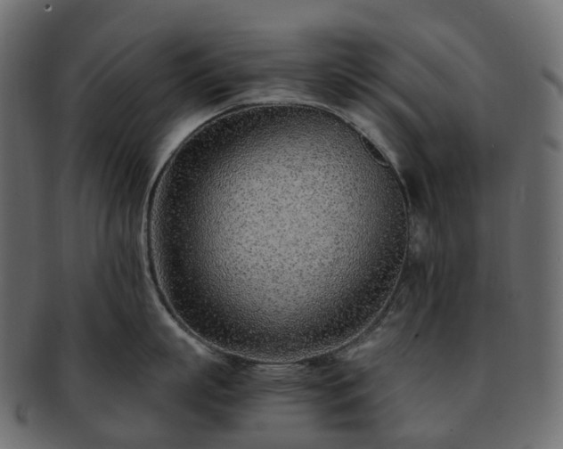 X0000093230863200710031457