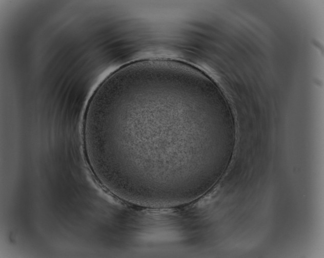 X0000093230864200710031457