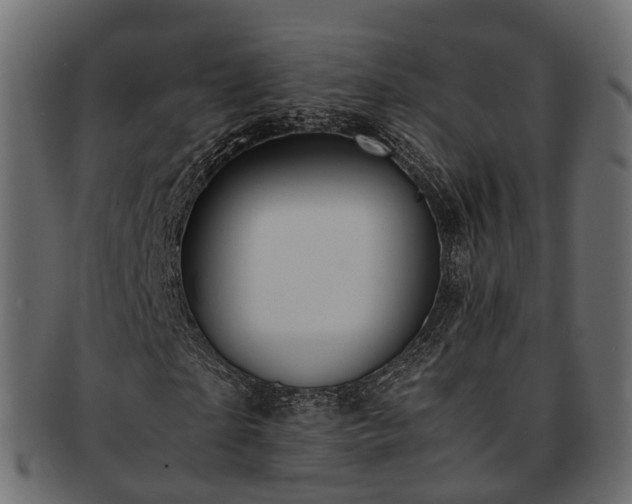 X0000093230865200710031456