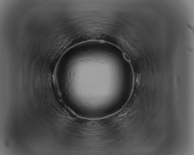 X0000093230867200710031456