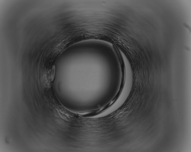 X0000093230868200710031456