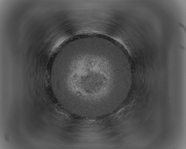 X0000093230871200710031456