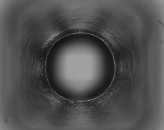 X0000093230872200710031456