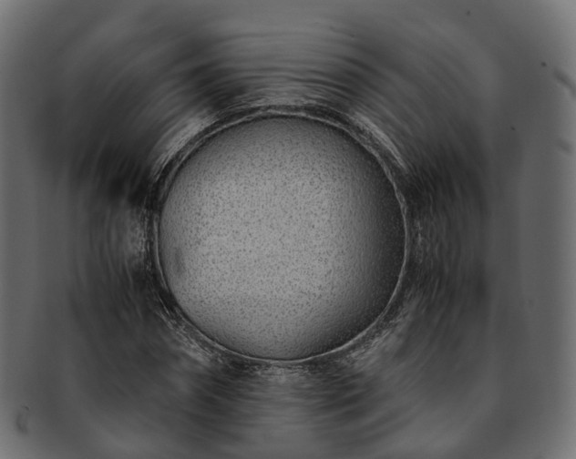 X0000093230874200710031456