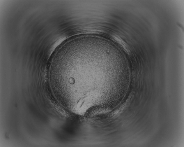 X0000093230875200710031456