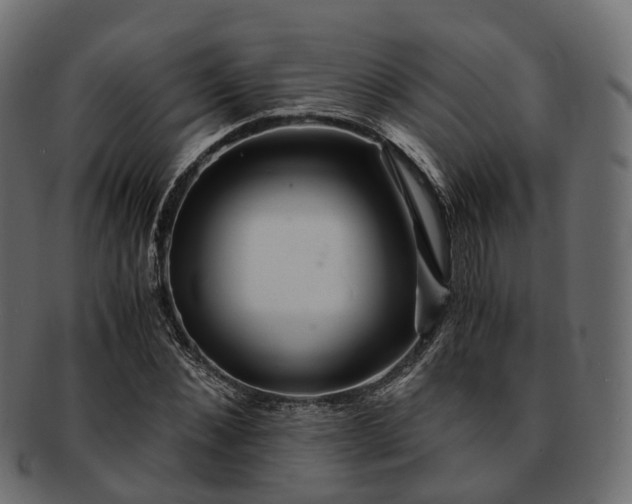 X0000093230876200710031456