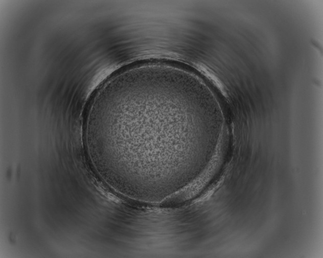 X0000093230877200710031456