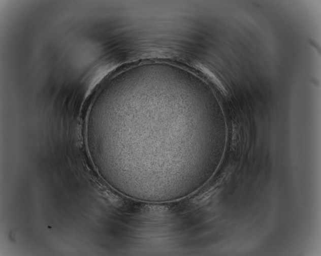 X0000093230878200710031456