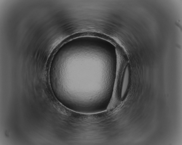 X0000093230879200710031456