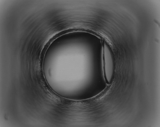 X0000093230880200710031456