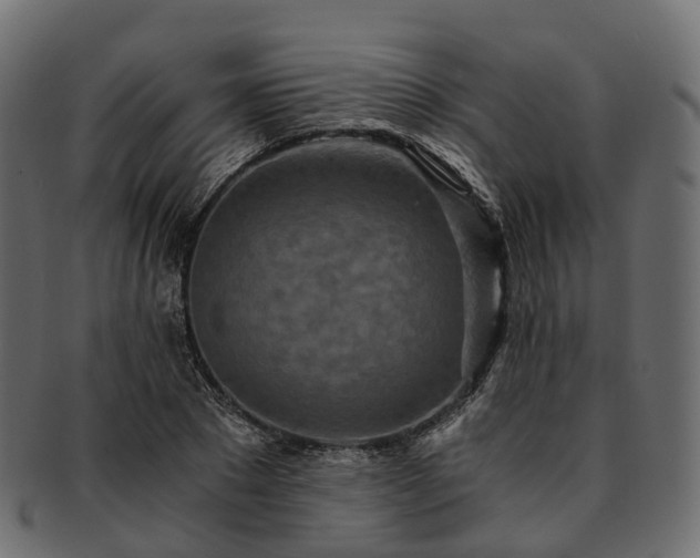 X0000093230881200710031456