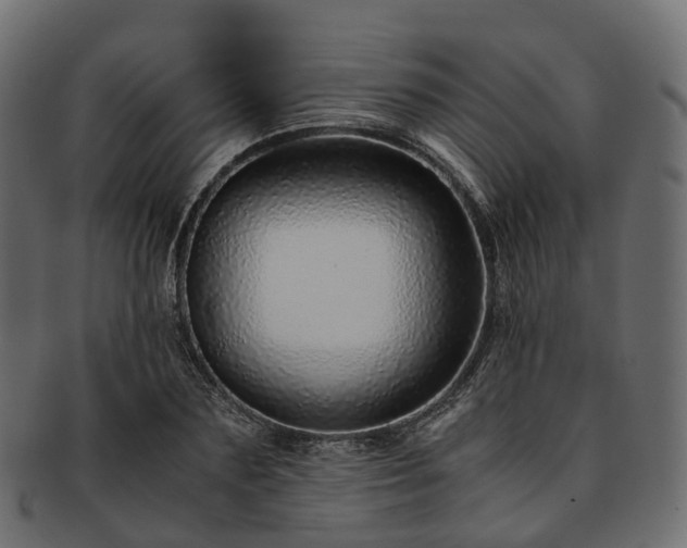 X0000093230883200710031456