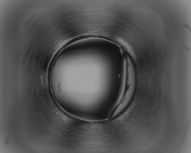 X0000093230884200710031456