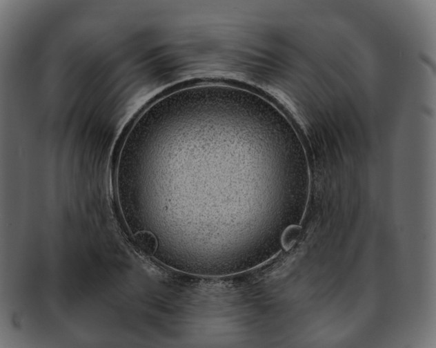 X0000093230887200710031456