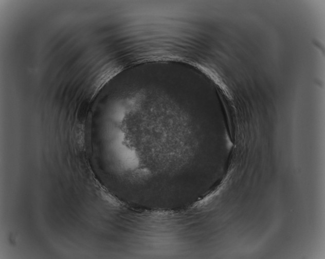 X0000093230889200710031456