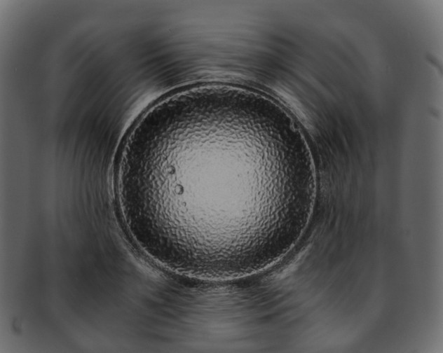 X0000093230891200710031456