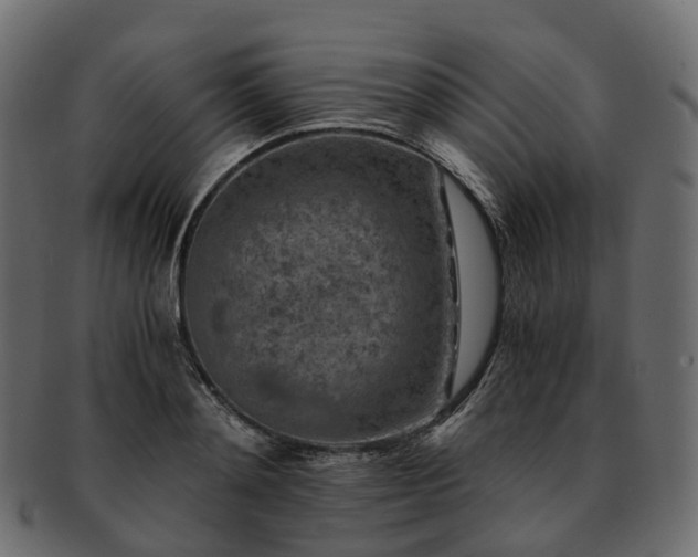 X0000093230892200710031456