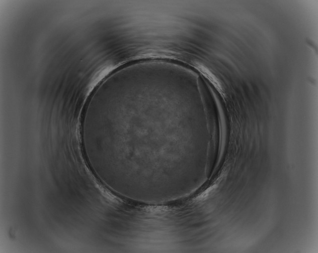 X0000093230893200710031456