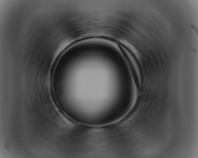 X0000093230894200710031456