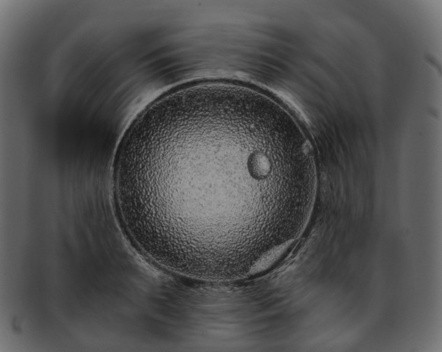 X0000093230895200710031456