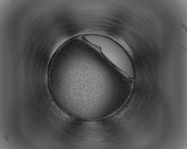 X0000093230896200710031456