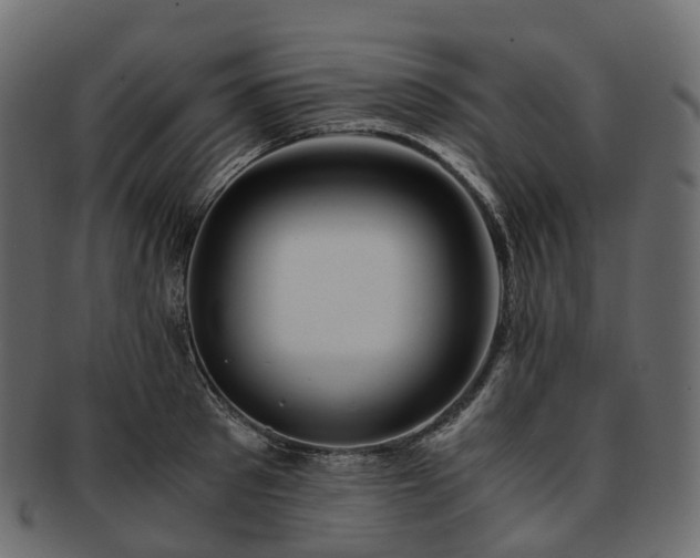 X0000093230897200710031456