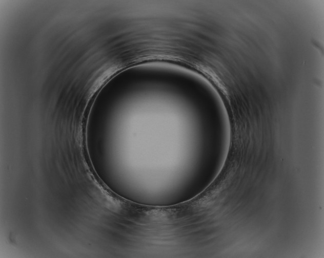 X0000093230898200710031456